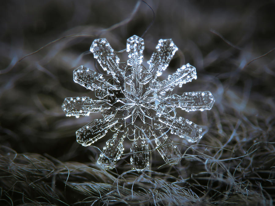 snowflake-3-alexey-kljatov