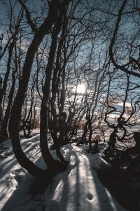 Fototgrafare sulla neve