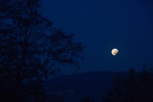 Paesaggio con luna
